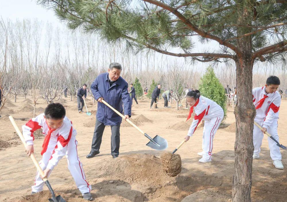 習近平在參加首都義務植樹活動時強調(diào)  全民植樹增綠 共建美麗中國